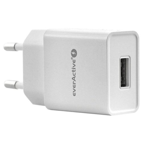 everActive SC-100 1A wall charger adapter